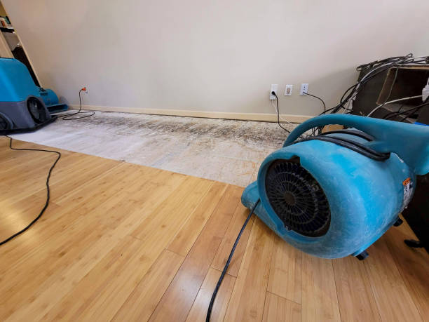 Professional Sewage Cleanup technician working in Irene, TX